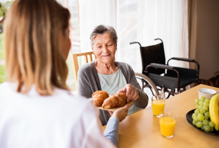 Elderly Home Assistance Services – Orland Park